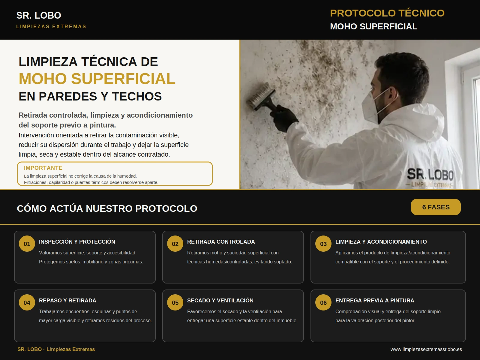 Infografía del protocolo SR. LOBO para limpieza técnica de moho superficial en paredes y techos: inspección, retirada controlada, limpieza, repaso, secado y entrega previa a pintura